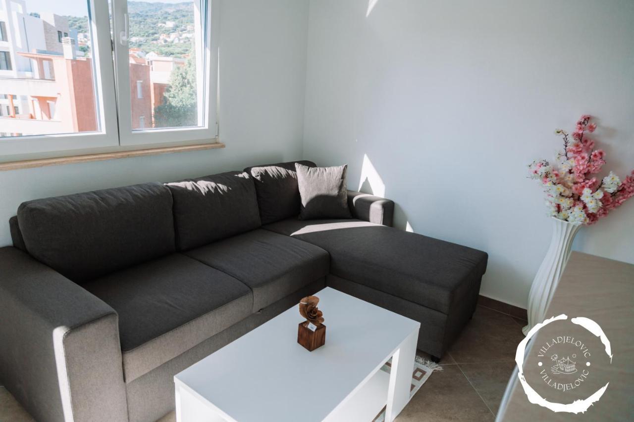 Apartment Djelovic *